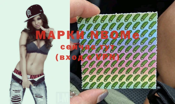 дмт Богородицк