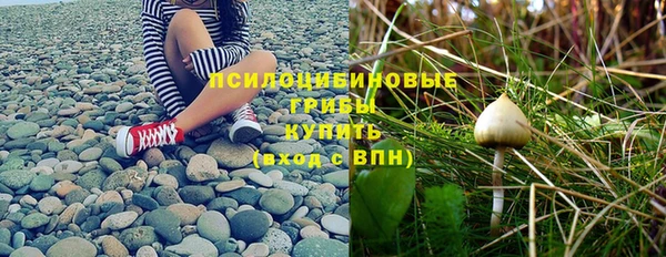 прущая мука Верхний Тагил