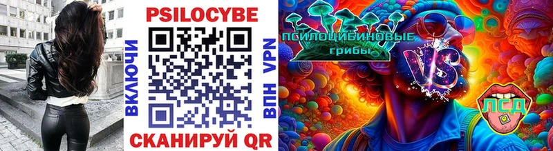 гидра ссылка  Унеча  Галлюциногенные грибы Psilocybe 