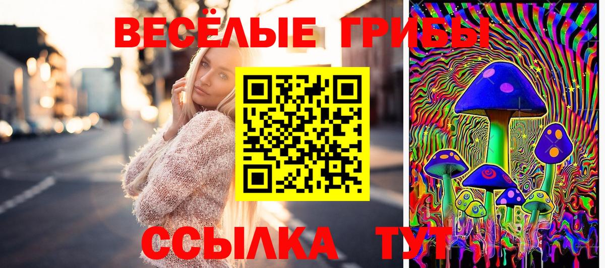 Унеча  Псилоцибиновые грибы MAGIC MUSHROOMS  купить   Вход с VPN 